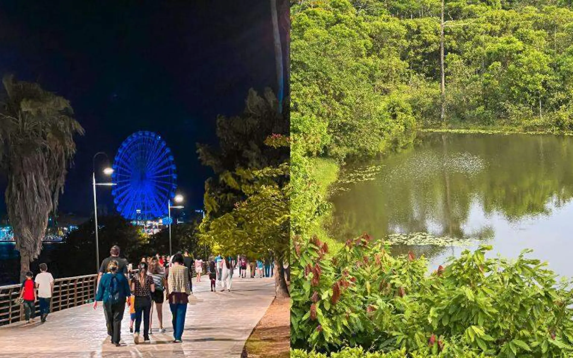 Tampico y Costa Rica tienen más parecidos de lo que te imaginas Facebook @ChuchoNader y @